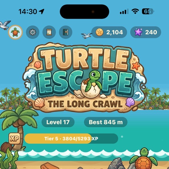 Turtle Escape